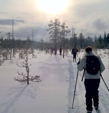Finland Jobs